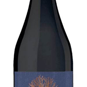 Nativus Pais Red Chileense wijn zomerwijn bbq