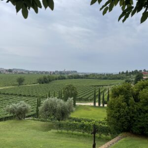Wijnpakket Italie Italië Italiaanse wijnen wijn prosecco primitivo pinot grigio toscane chianti