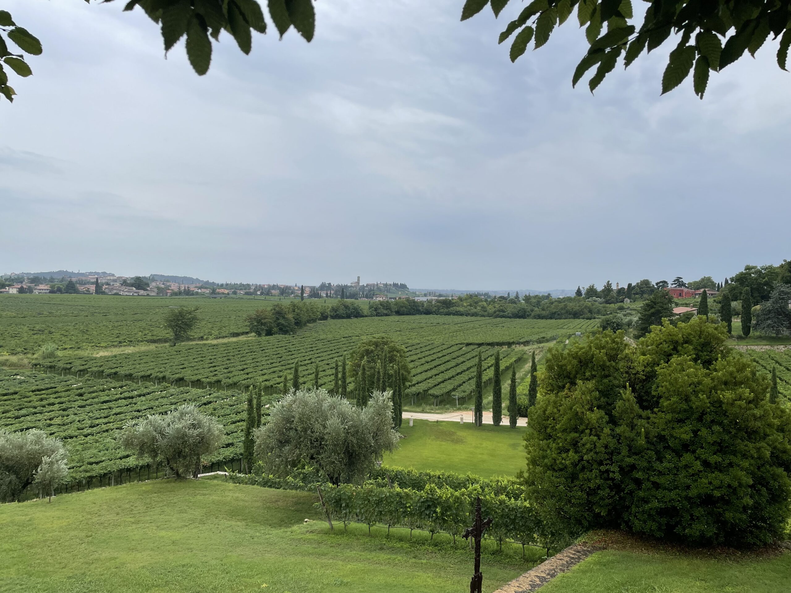Wijnpakket Italie Italië Italiaanse wijnen wijn prosecco primitivo pinot grigio toscane chianti